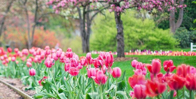 Starten Sie jetzt in die Gartensaison